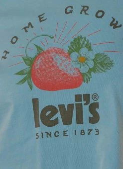 Levi's Cropped Jordie Tee - Natural Blue -Peppermayo Shop 572e09b1460c4ff395a2f8dfb0947432