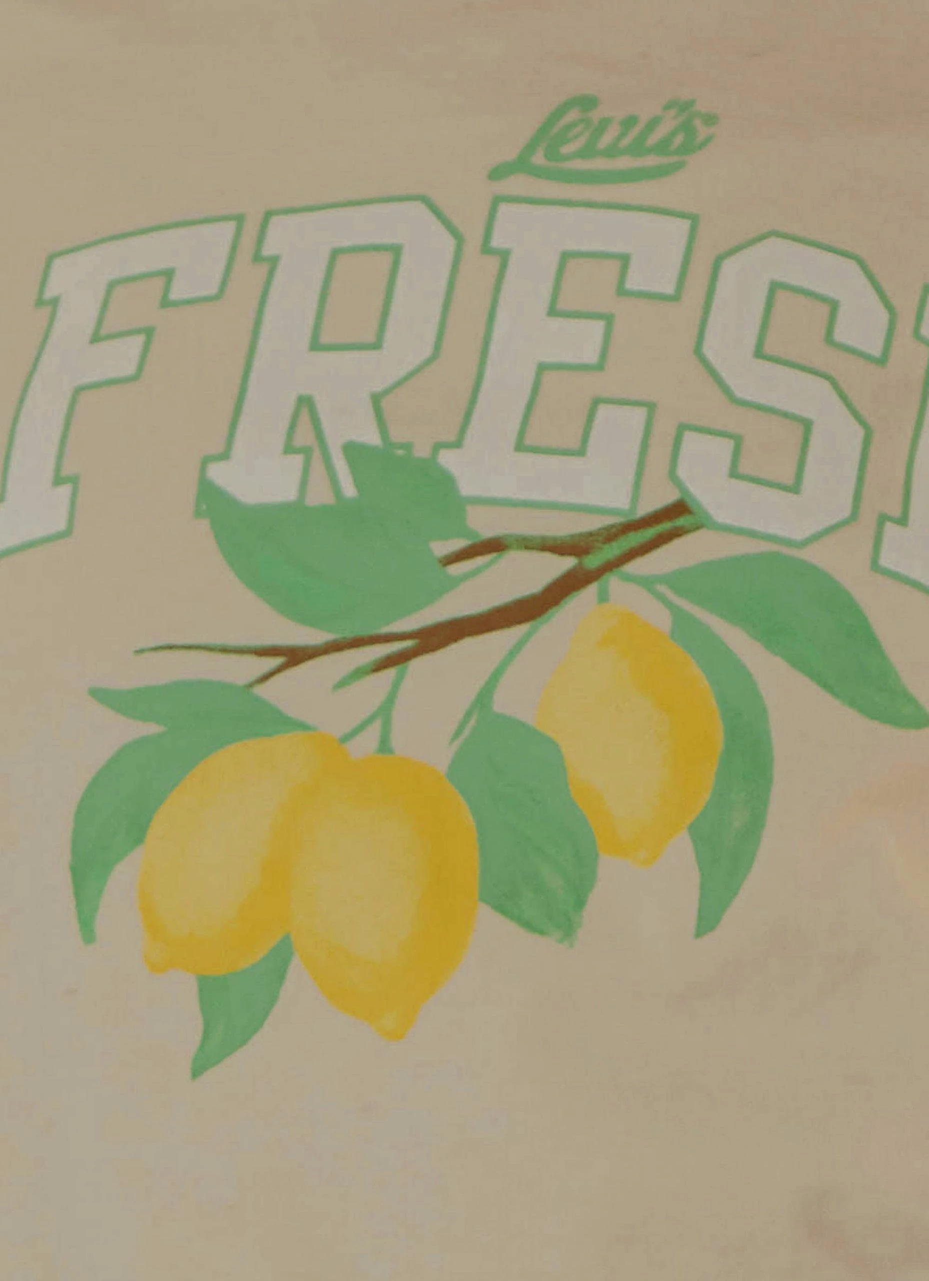 Levi's Cropped Jordie Tee - Undyed Greige 8 Levi's Cropped Jordie Tee - Undyed Greige - Image 6