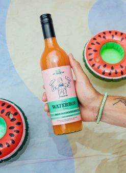 Mr Consistent Premium Cocktail Mixer - Waterboy